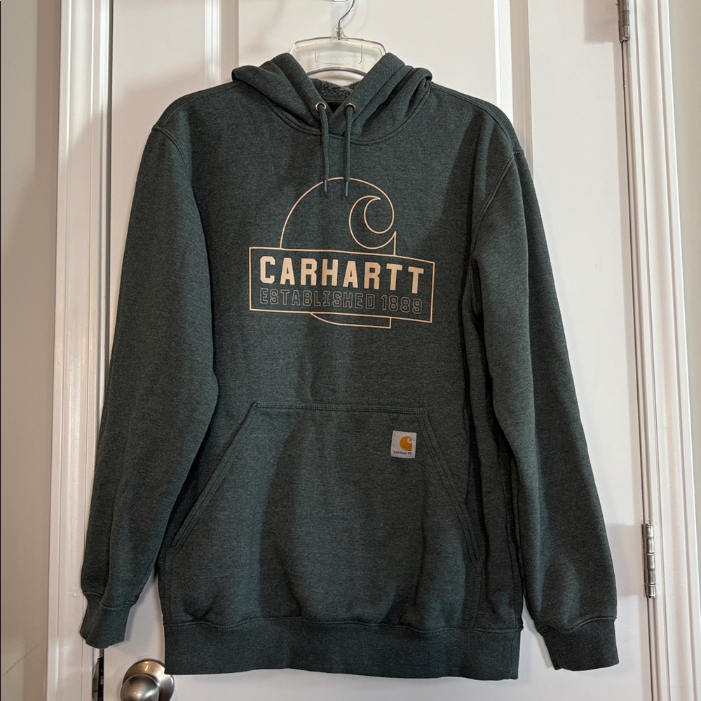 Carhartt Men's Loose Fit Midweight Carhartt C Graphic Hooded Sweatshirt Green